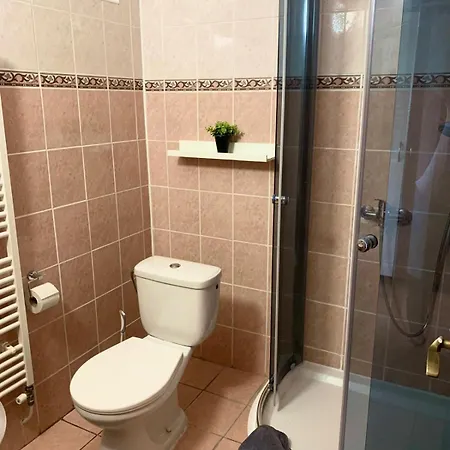 Casa de hóspedes Fontána 3*